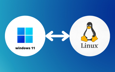 software alternatif editing Windows 11 di Linux