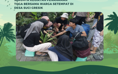 PENGABDIAN MASYARAKAT KKNT-44 UTM: PEDULI KESEHATAN MASYARAKAT, SERUNYA KEGIATAN PENANAMAN TOGA BERSAMA WARGA SETEMPAT DI DESA SUCI GRESIK
