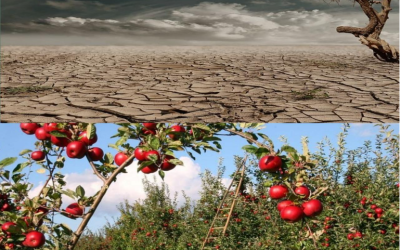Canggih! Begini Pemanfaatan Teknologi Pertanian Di Negara Maju By : Markis Xido Merdan
