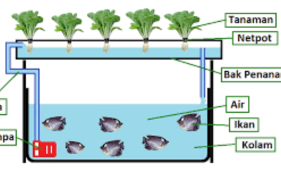 Kelola dan Efektifkan Keramba Pertanian Society 5.0