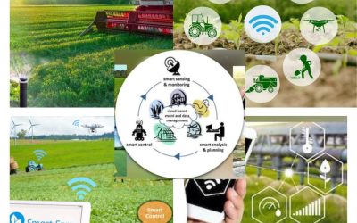 KEBIJAKAN PERTANIAN DIMASA DEPAN BEBASIS TEKNOLOGI ( Menjanga Ketahanan pangan dalam menggunakan teknolongi pertaniaan dan peranannya ) 