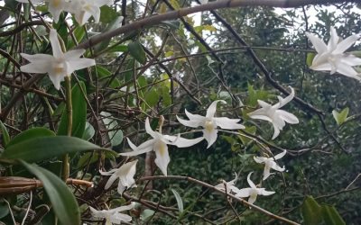 Wisata Kuliner Mahasiswa : Hidden Gem sampai Trend Marah-Marah