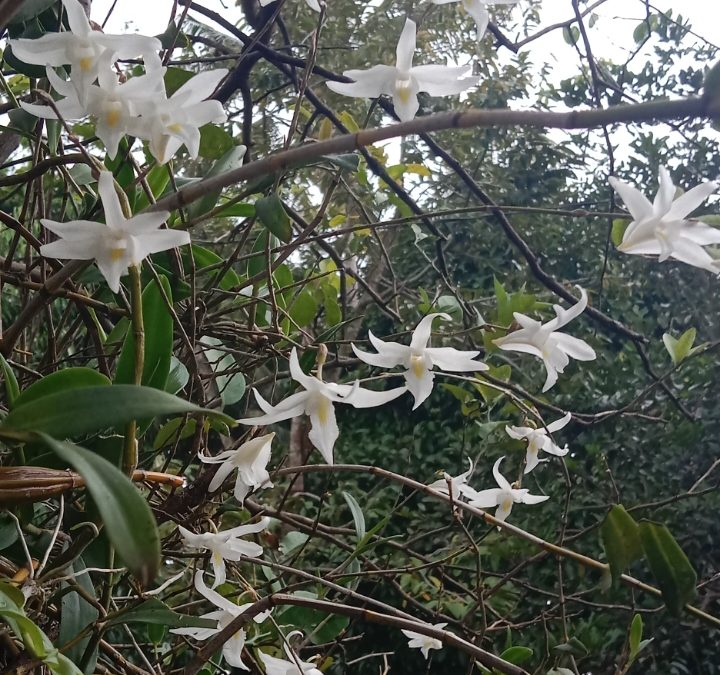 Wisata Kuliner Mahasiswa : Hidden Gem sampai Trend Marah-Marah